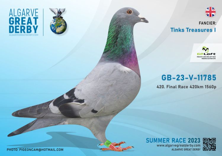 Pigeon Auction GB 23 V11785, seller Tinks Treasures I (420º Final 